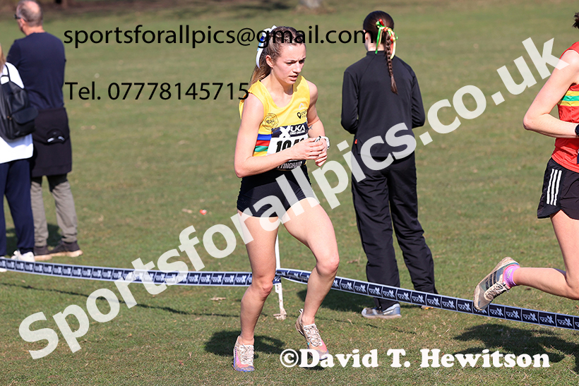 Senior womens 2025 UK CAU Inter Counties Cross Country Champs., Wollaton Park, Nottingham. Photo: David T. Hewitson/Sports for All Pics